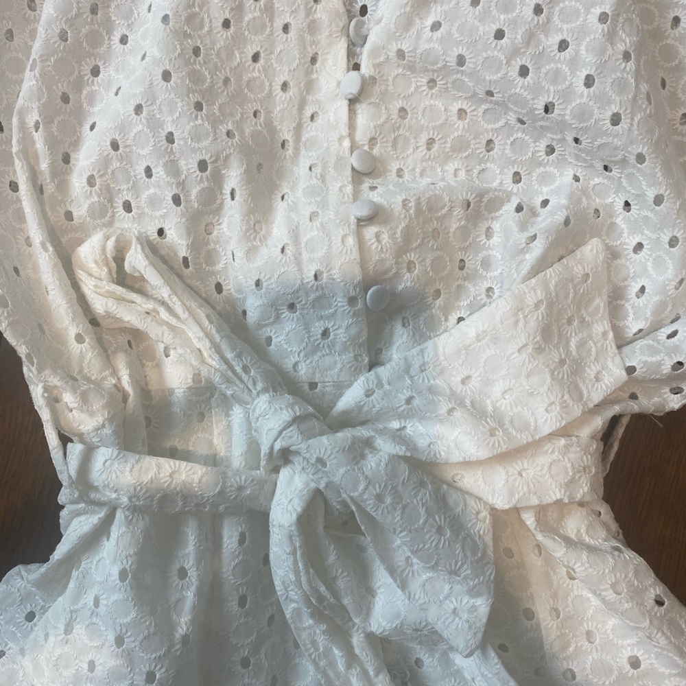 Zara White Eyelet Mini Dress with Long Sleeves - Picture 3 of 4